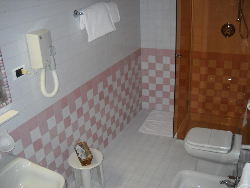 Hotel Faccioli Valeggio sul Mincio Room photo